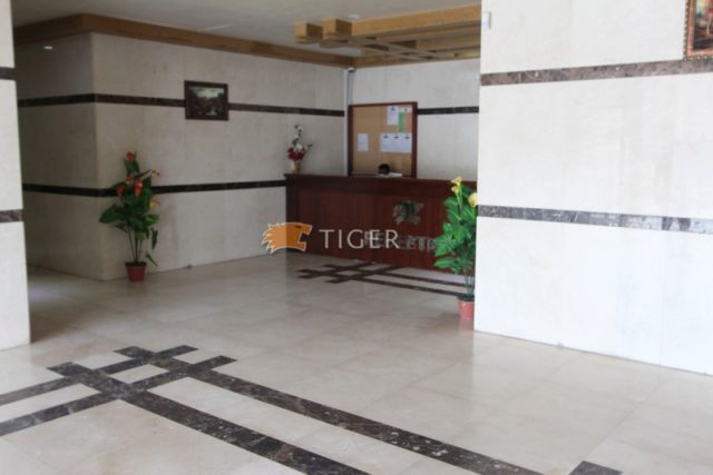 1-bedroom-apartment-to-rent-in-al-nahda-sharjah-by-tiger-group