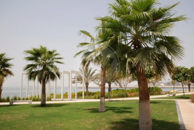  Image of 2 bedroom Apartment for sale in Al Zeina, Al Raha Beach at Al Zeina, Al Raha Beach, Abu Dhabi